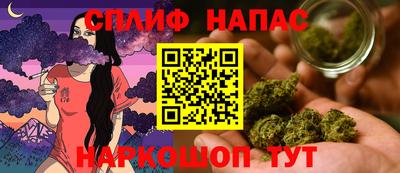 винт Тара