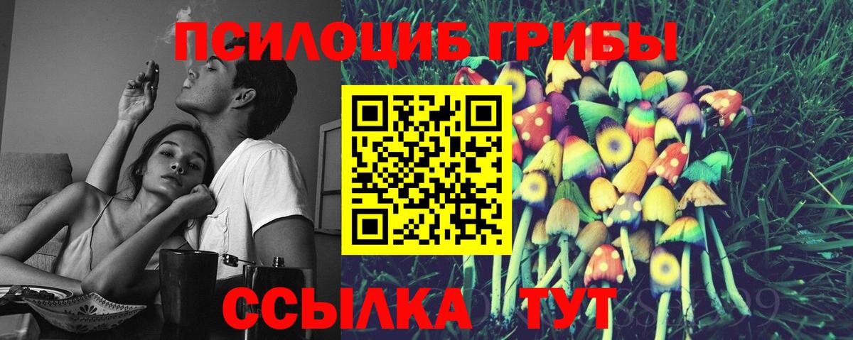 Псилоцибиновые грибы MAGIC MUSHROOMS Новоалтайск