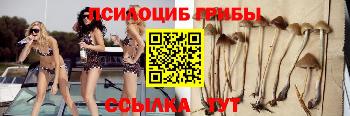 Галлюциногенные грибы Psilocybine cubensis  Вход с VPN  Новоалтайск 